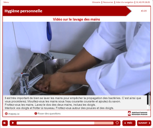 Food Handler For Employees - French Language Version - Online - manipulateur d’aliments CFS- SafeCheck® Version Française -  en ligne